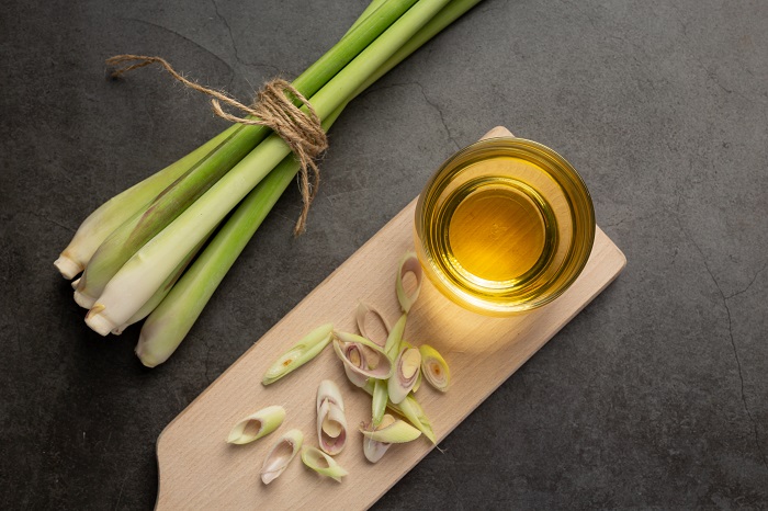 Ilustrasi serai wangi (Citronella)