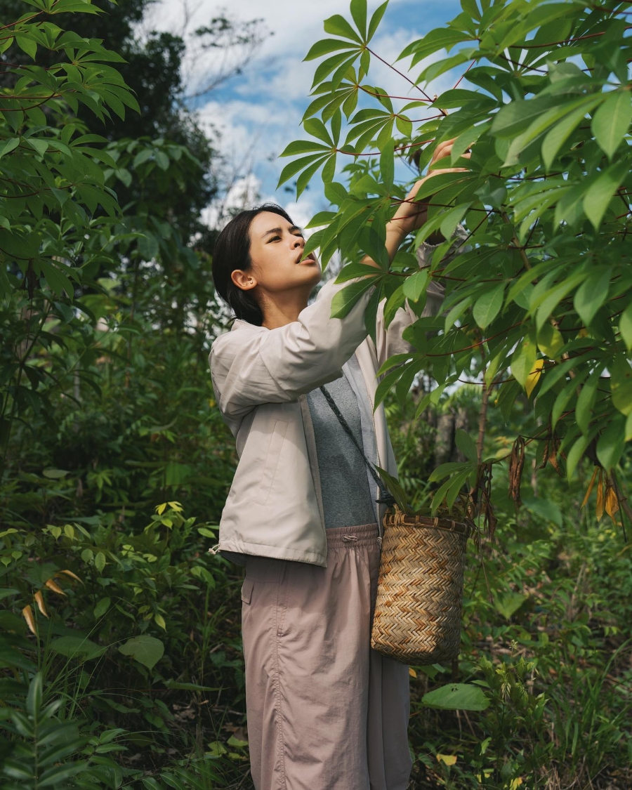 MERAMBAN: Maudy Ayunda memetik daun singkong untuk diolah menjadi masakan khas Kalimantan.