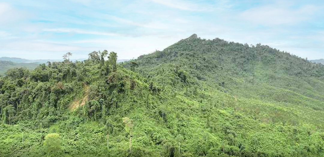 Gunung Parung