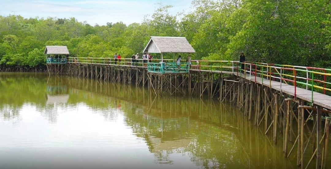 Hutan mangrove mentawir.