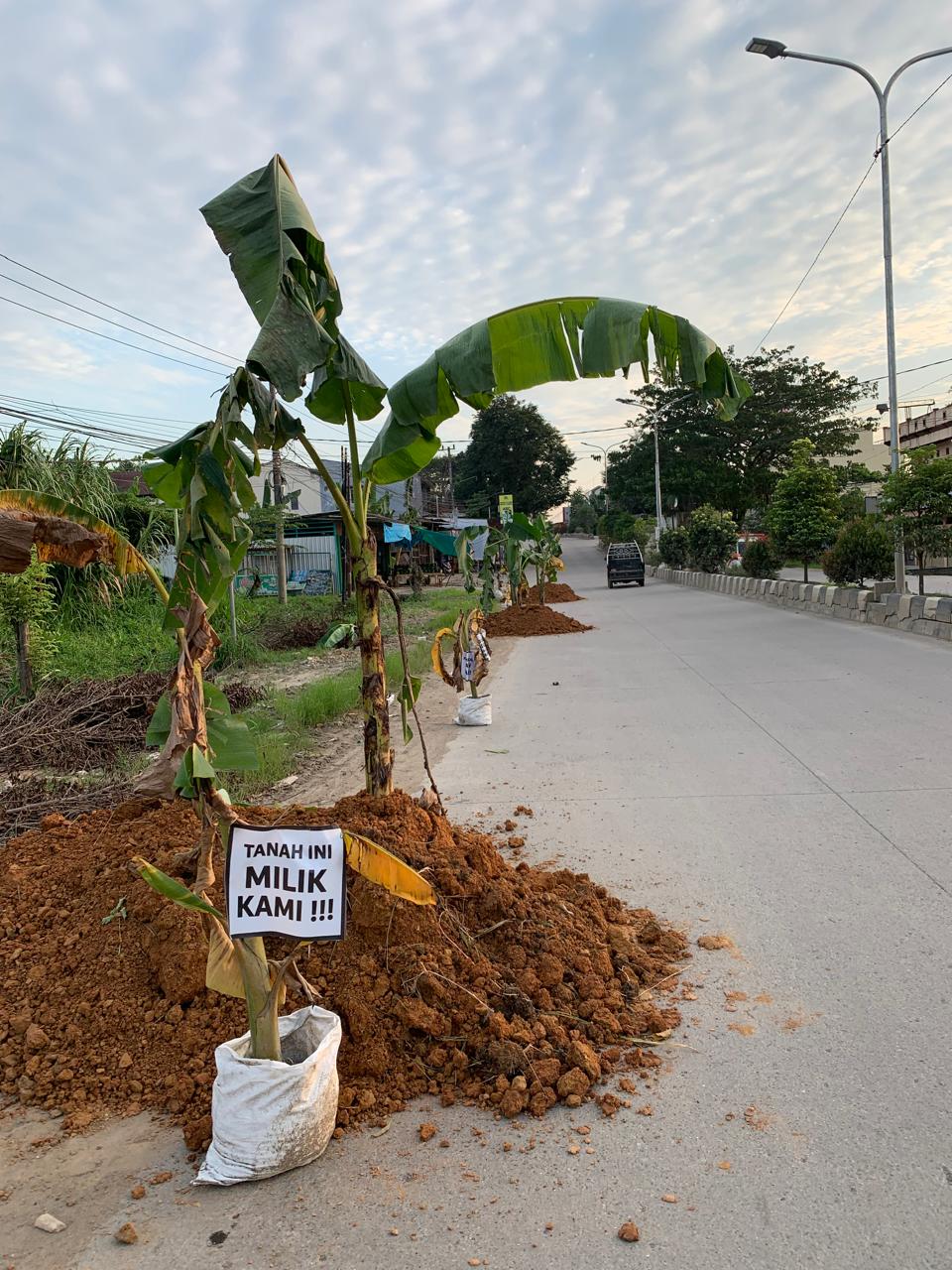 AKSI: Para warga Jalan Rapak Indah kembali menanamkan pohon pisang. Kini penanam itu telah masuk di badan jalan, sebanyak 50 pohon yang ditanam, Senin (22/7). (FOTO: IST)