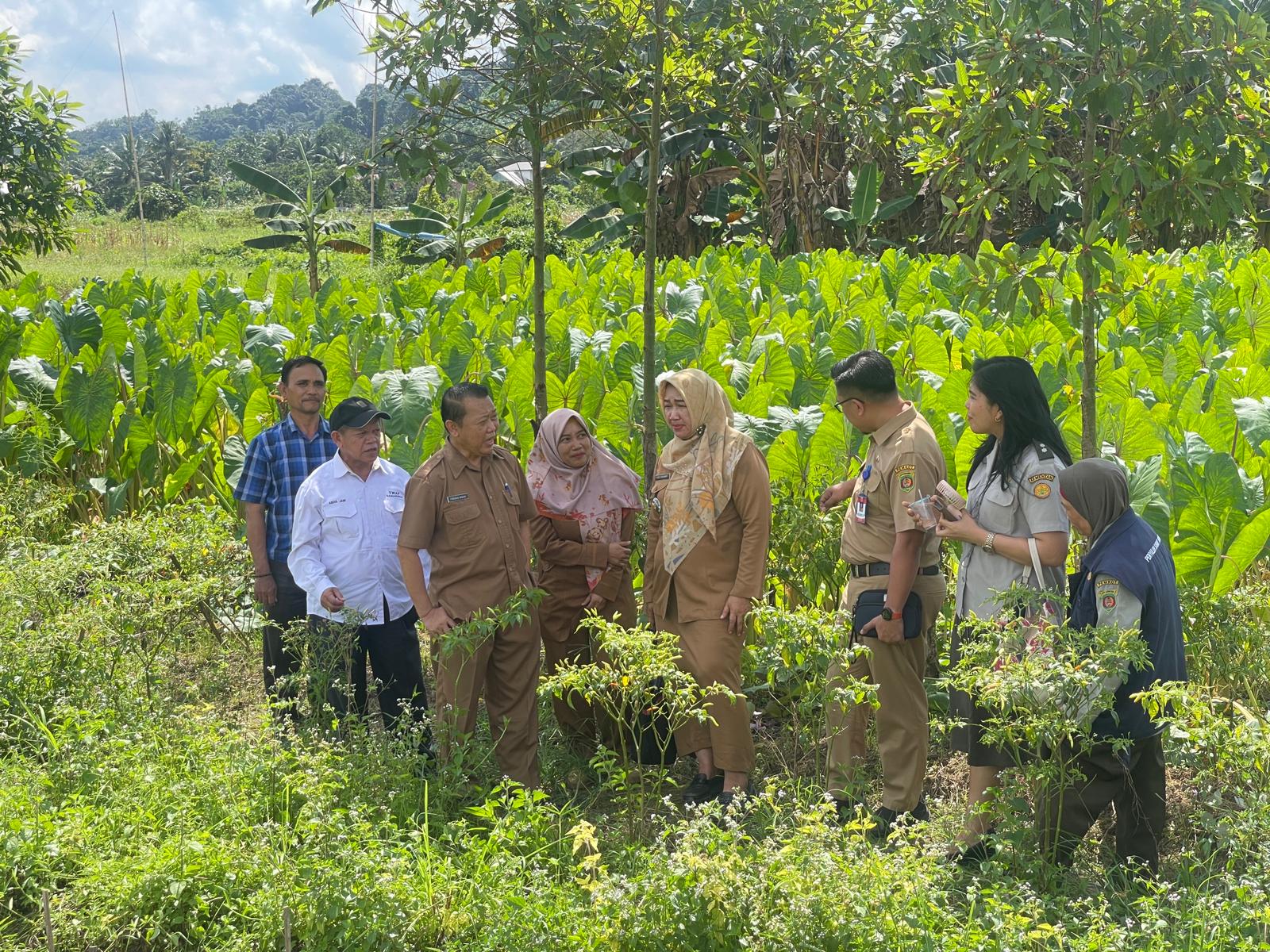 KOMPAK: Tim penilaian Pro Bebaya Award bersama warga memeriksa langsung program yang telah dilakukan, di RT 02 Kelurahan Gunung Lingai, Kecamatan Sungai Pinang, (29/7). (FOTO: DENNY SAPUTRA/KP)