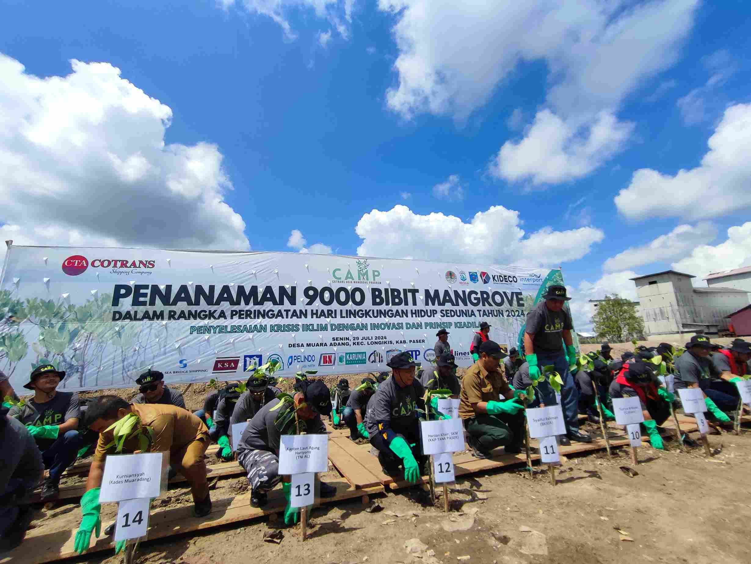 JAGA LINGKUNGAN: PT Cotrans Asia (CTA) melaksanakan program CAMP 2024 berupa penanaman mangrove di Desa Muara Adang Kecamatan Long Kali, Senin (29/8).