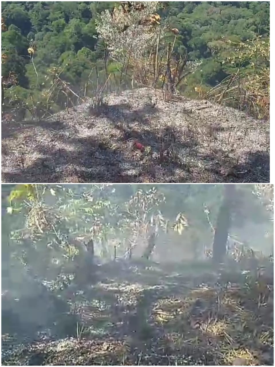 KEBAKARAN: Dua hektare kawasan wisata puncak Gunung Meranga Juhan Asa  hangus terbakar, akibat ulah oknum tak bertanggung jawab. (FOTO: SUNARDI/KP)