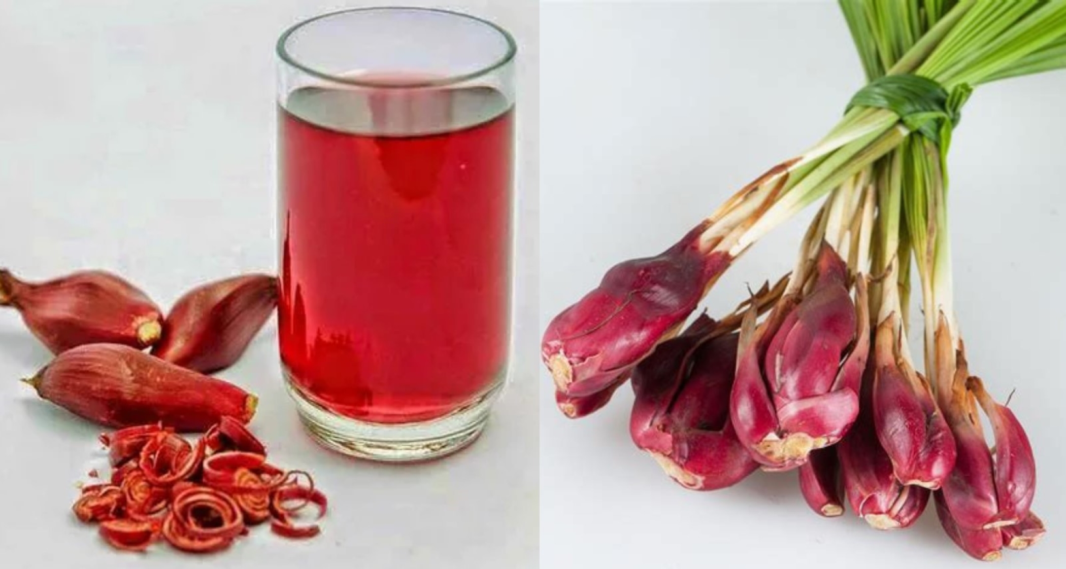 HERBAL KALIMANTAN: Bawang Dayak selain populer mengatasi kolesterol dan kanker, juga ampuh menurunkan tekanan darah tinggi.