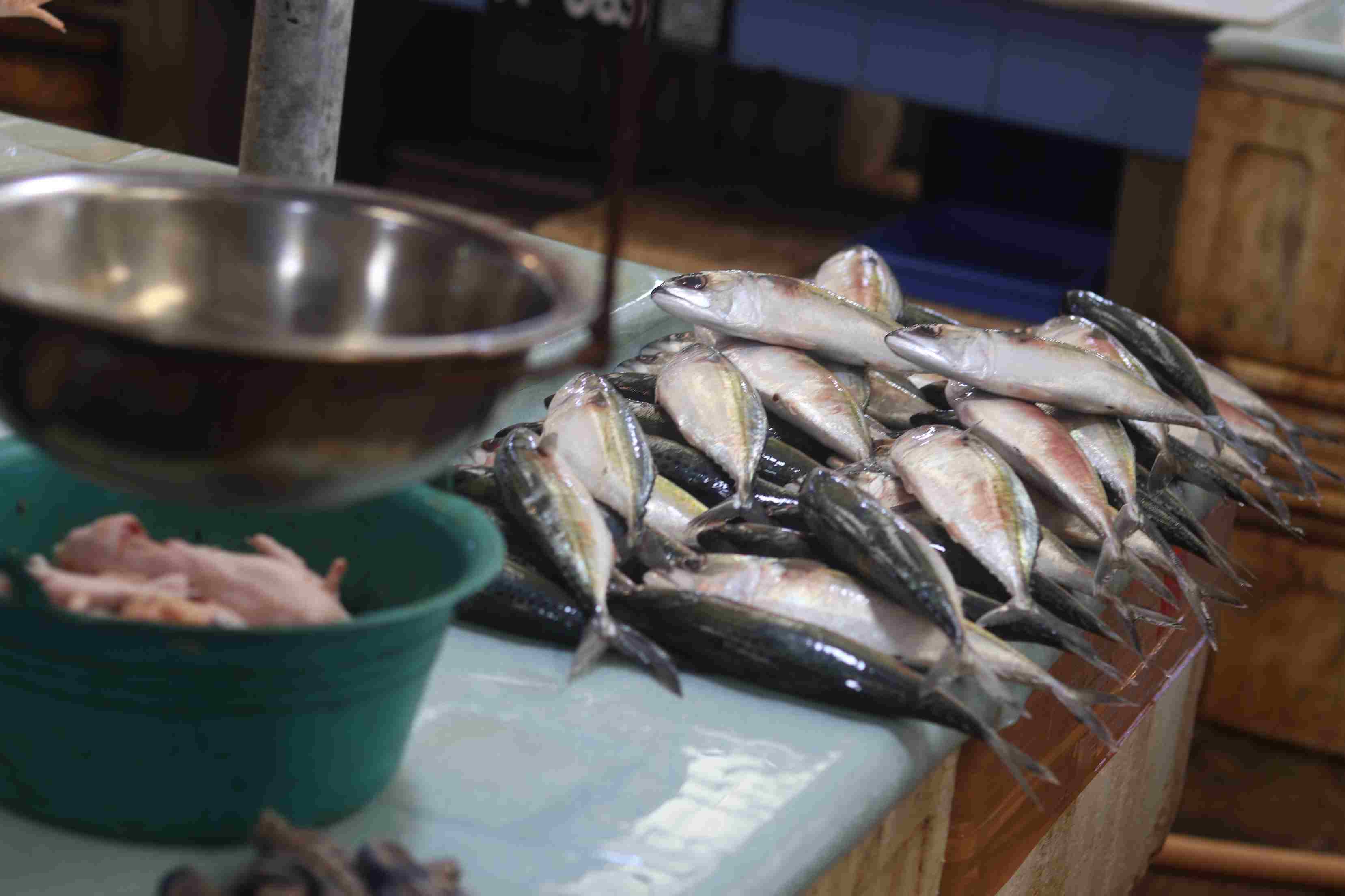Kelompok bahan makanan menjadi penyumbang tertinggi inflasi Balikpapan. (Foto: Anggi/KP)
