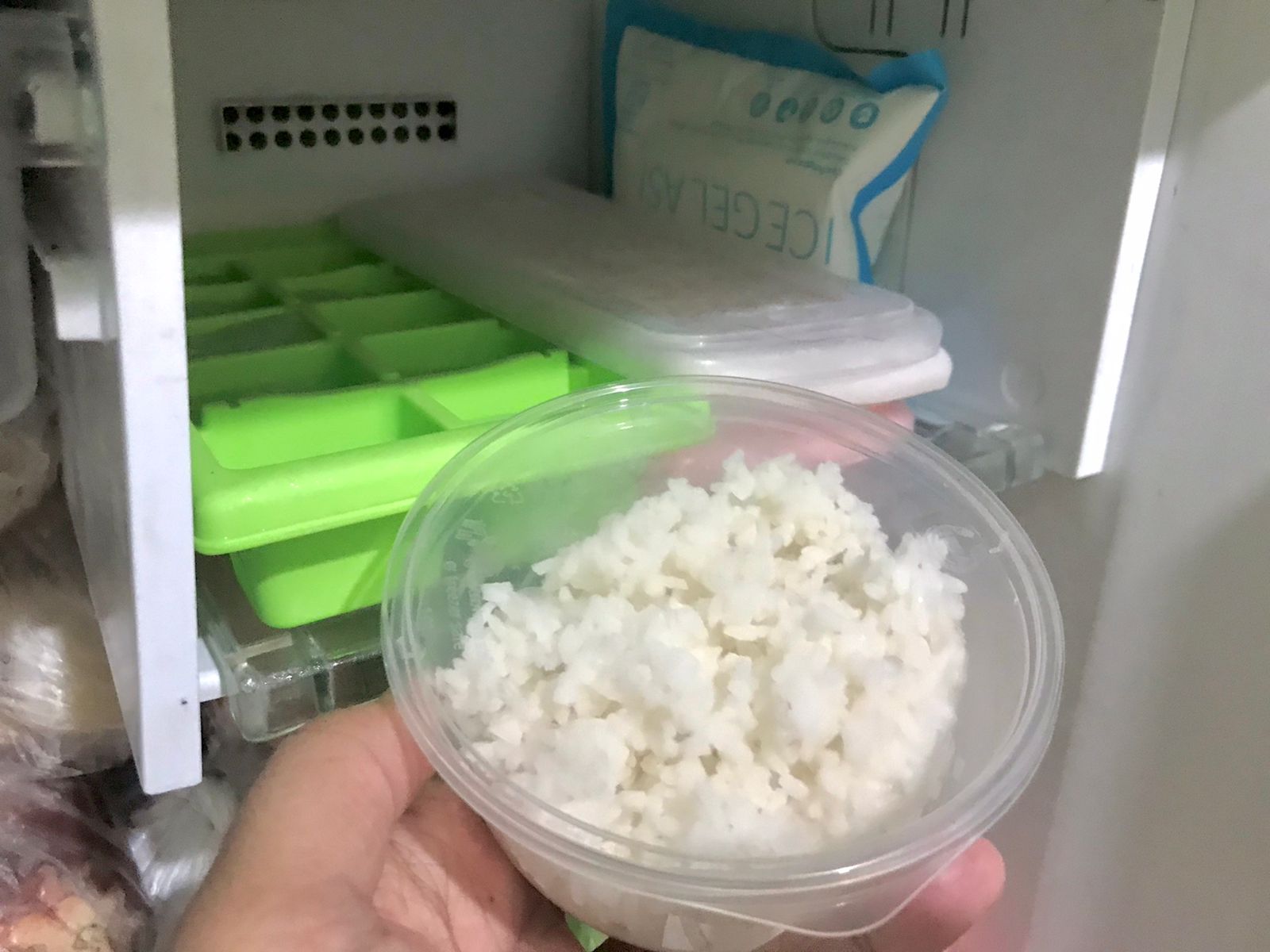 BIKIN AWET SEBULAN: Nasi yang sudah di dalam wadah kemudian disimpan di dalam freezer kulkas. (Foto: Thomas/KP)