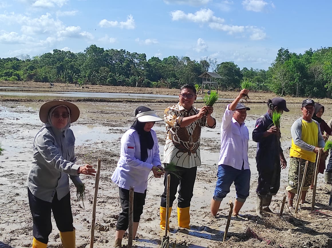 TANAM PADI: Wamentan Sudaryono (ketiga kiri) menanam padi di salah satu lahan persawahan di Gunung Binjai, Teritip, Balikpapan Timur,  Jumat (13/9).
