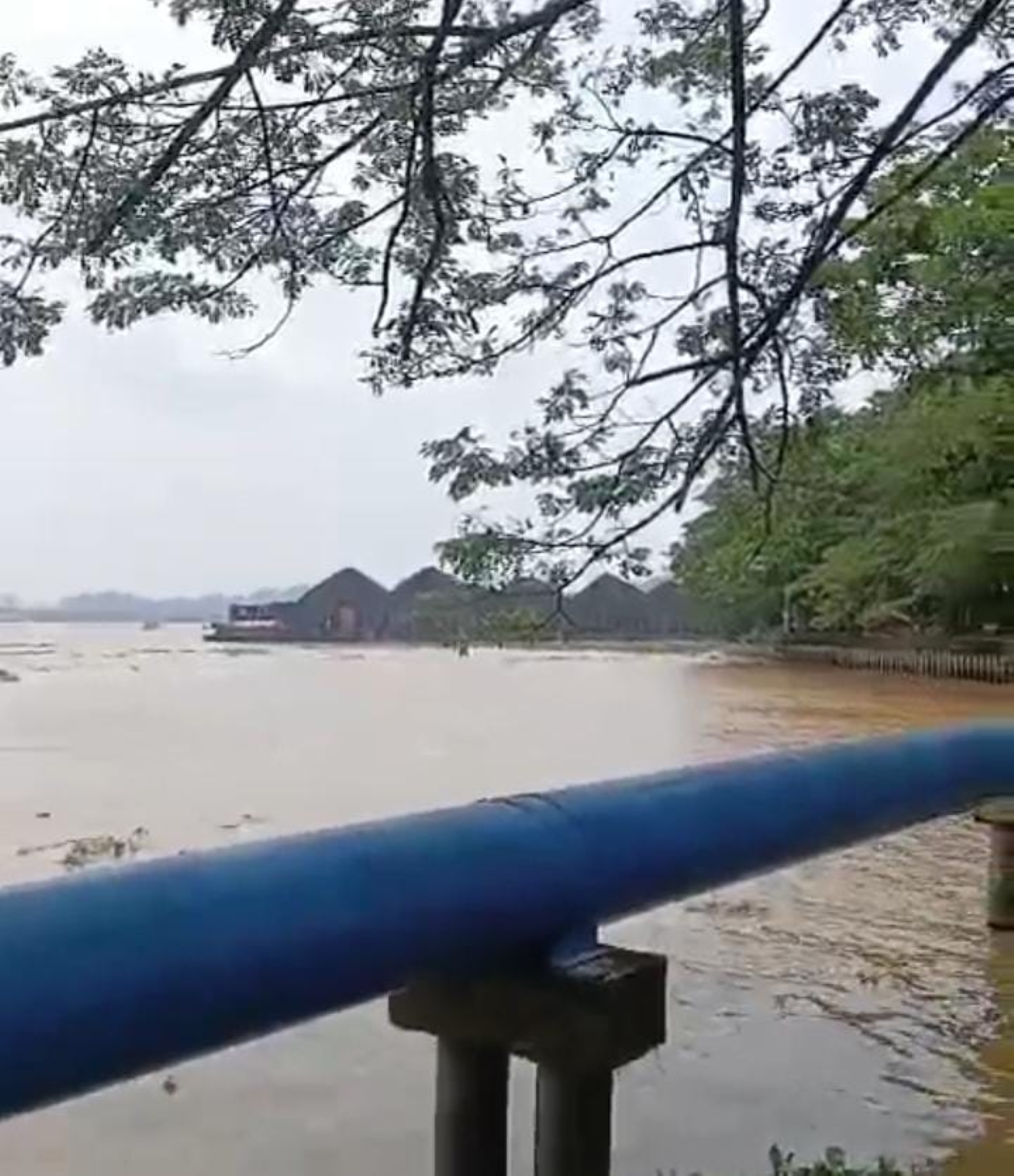 MENGHEBOHKAN: Tongkang bermuatan batu bara larut dari lalu lintasnya dan hampir menubruk sisi Tepi Mahakamdi kawasan Teluk Lerong, Samarinda.