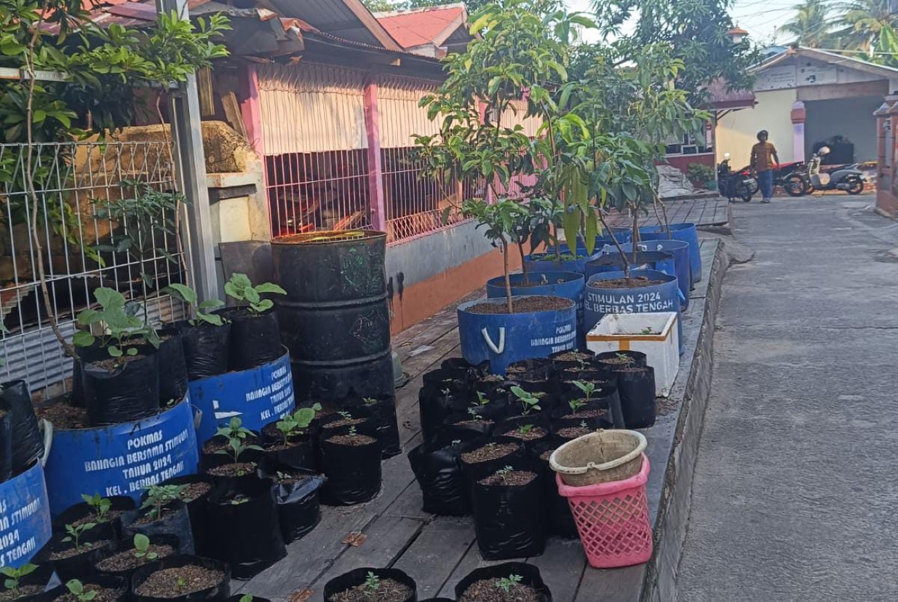 PERINDAH PERMUKIMAN: Warga RT 1, Kelurahan Berebas Tengah, mendapatkan tanaman dalam drum untuk memperindah Kawasan. Hasil panen nantinya bisa dimanfaaatkan warga.