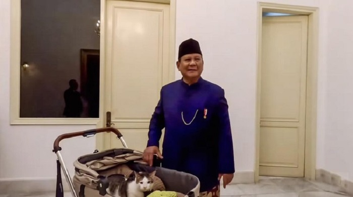 Kucing Prabowo, Bobby, tampil menggemaskan saat ikut ke Istana Negara setelah pelantikan presiden.