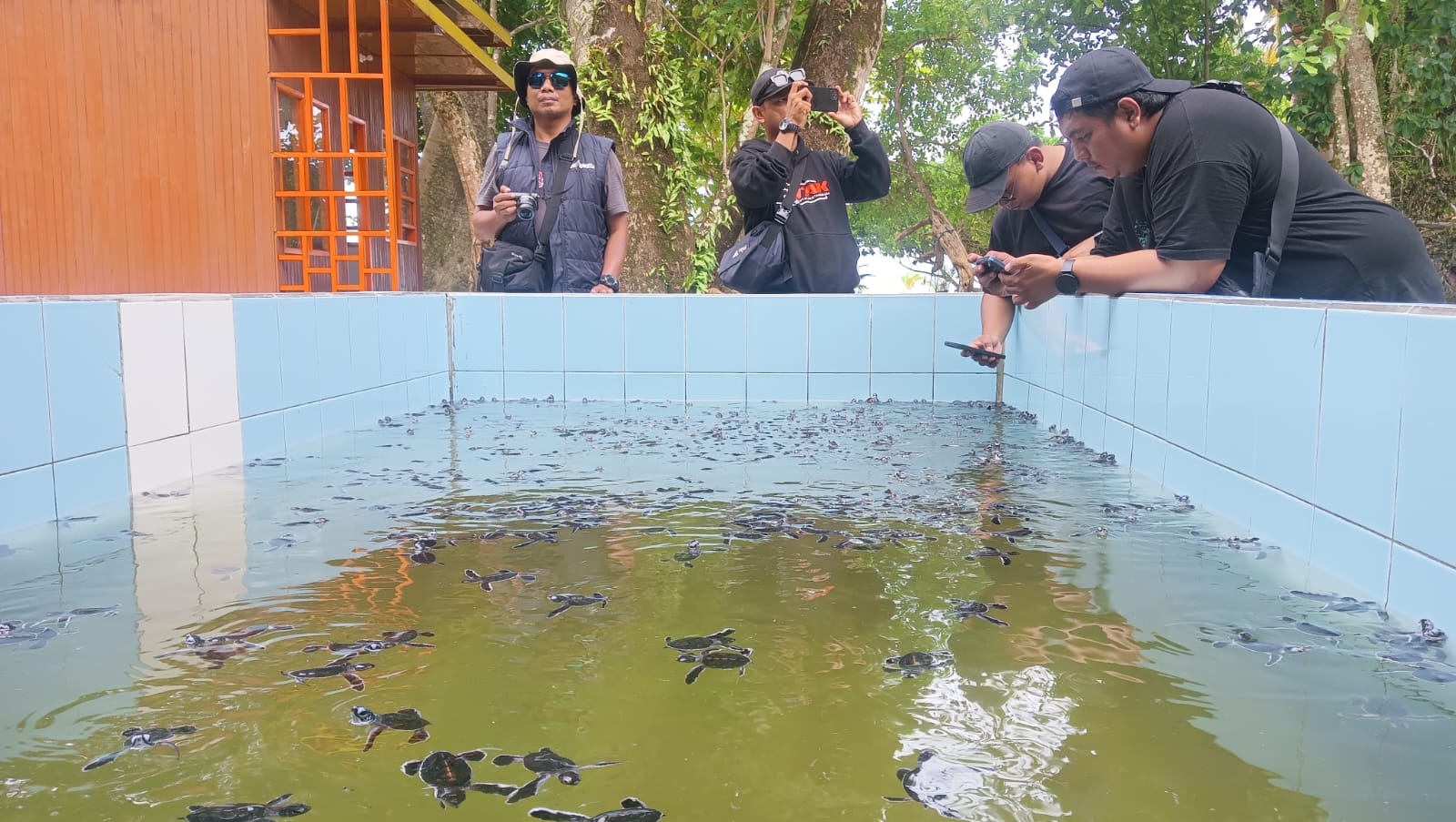 LESTARI: Ratusan Tukik yang baru menetas direhabilitasi di Taman Wisata Alam Pulau Sangalaki, Berau. (Foto: Bayu)
