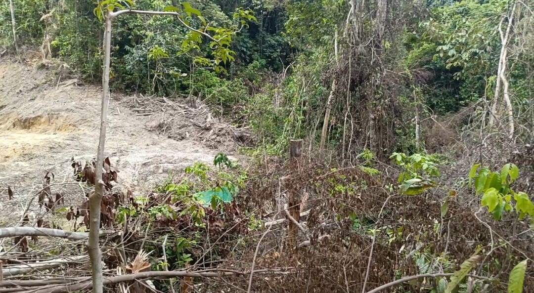 DICAPLOK: Lahan warga Linggang Muara Mujan digusur paksa perusahaan. (FOTO: SUNARDI/KP)