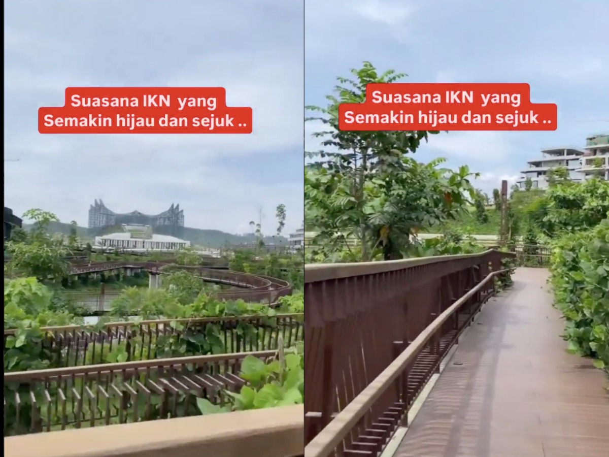 Kondisi IKN yang tampak tidak terawat.