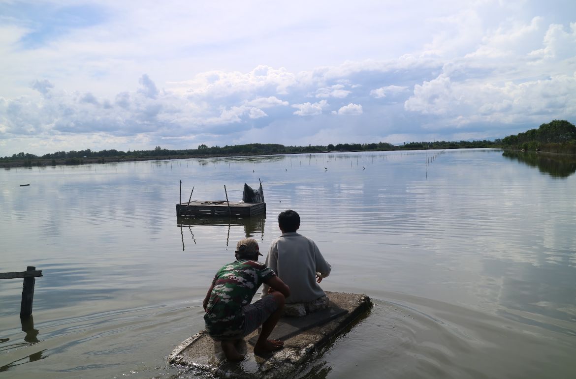 TERUS MEMBINA: Lahan tambak demoplot silvofishery binaan dari YPUI dan Pokja Pesisir, milik Were, di Babulu Laut. (FOTO: NASYA/KP)