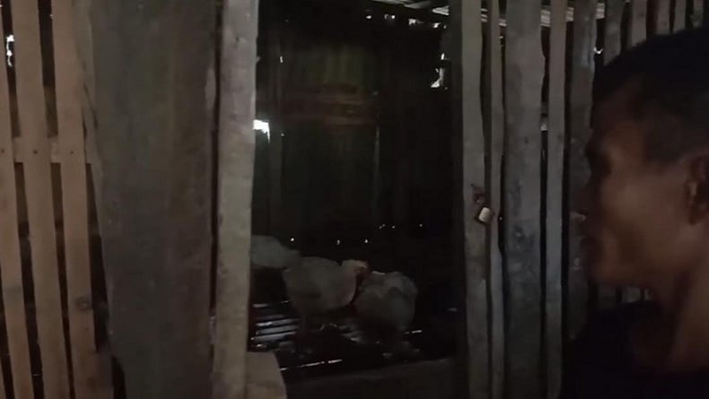 Bocah perempuan di Nias Selatan terpaksa tidur di kandang ayam setelah bertahun-tahun mengalami penyiksaan brutal dari keluarganya sendiri.