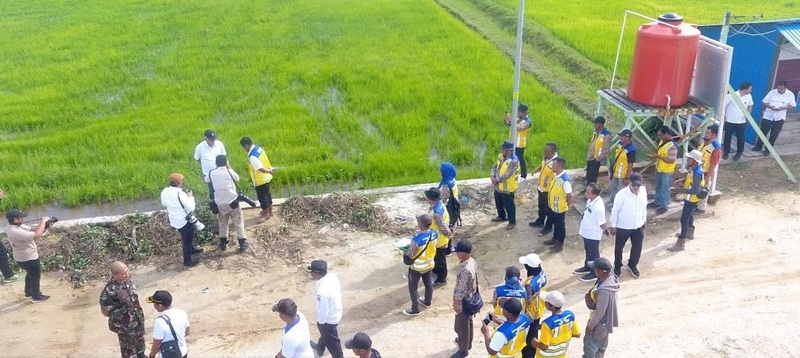 PANGAN IKN: Daerah Irigasi Rawa Sebakung sempat dikunjungi Otorita IKN dan BWS Kalimantan IV Samarinda pada 8 Januari lalu.