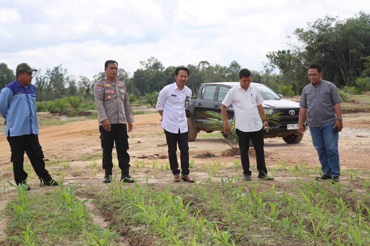 Jajaran Polres Kubar yang melakukan pengecekan program ketahanan pangan