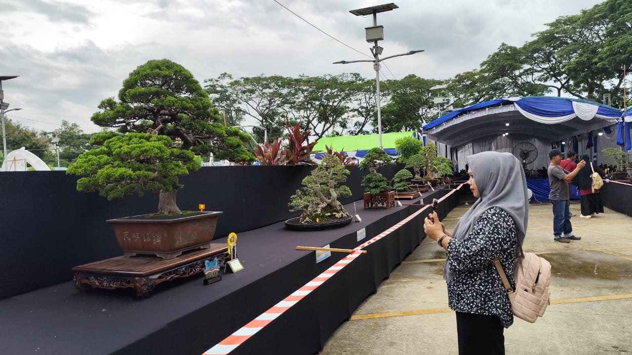 MENARIK: Selain konten, PPDI Cabang Samarinda juga mengadakan workshop bonsai dan suiseki, Jumat (7/2). Foto lain, pengunjung pameran mengabadikan bonsai yang dipamerkan. (FOTO: DENNY SAPUTRA)