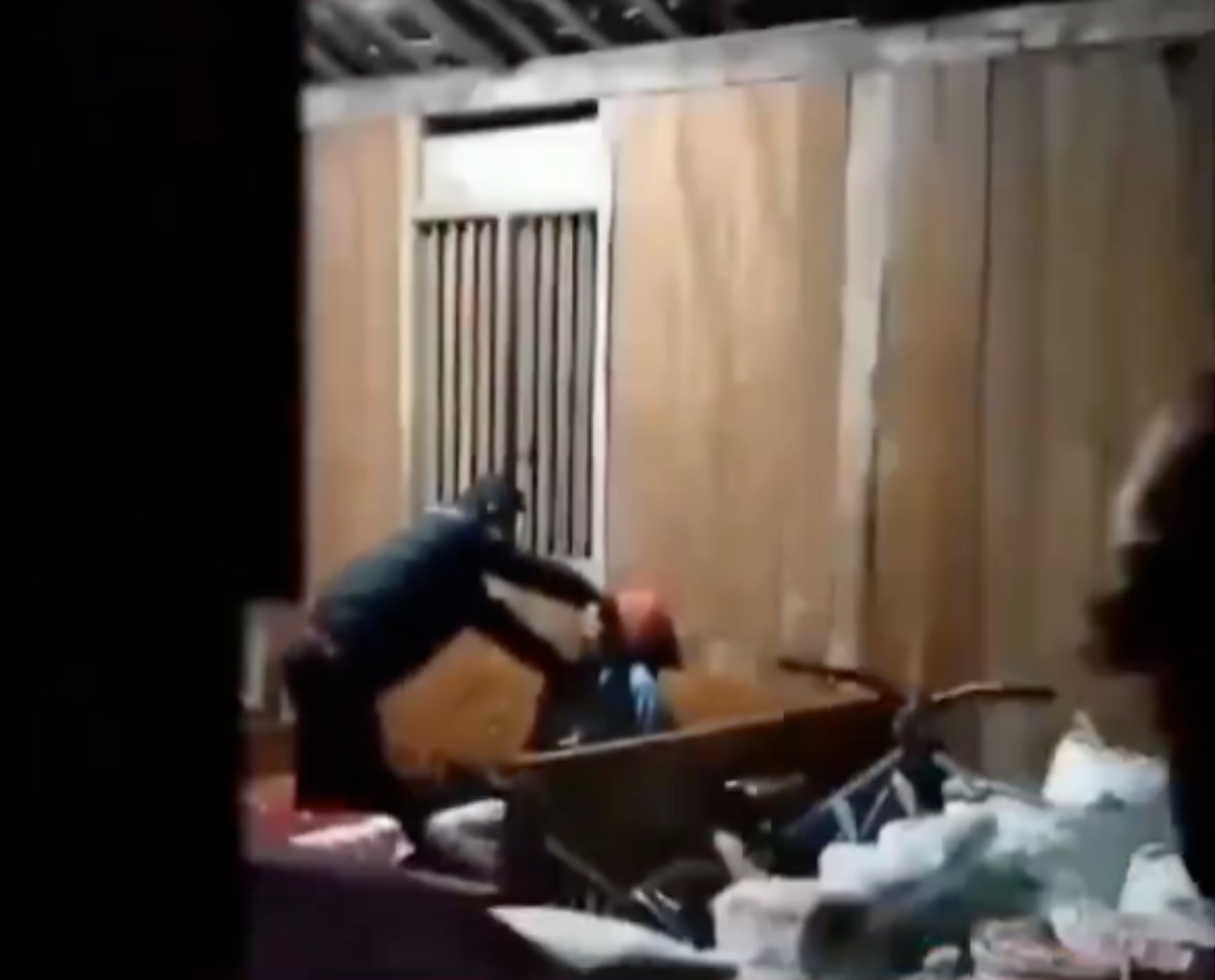 Pencari bekicot yang dituduh maling oleh oknum polisi. (Foto: Tangkapan Layar)