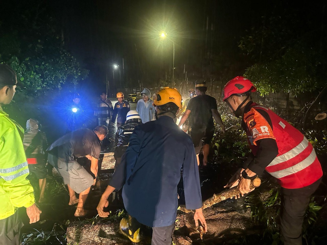 Hujan disertai angina membuat pohon besar tumbang, tidak ada korban jiwa dalam bencana tersebut.