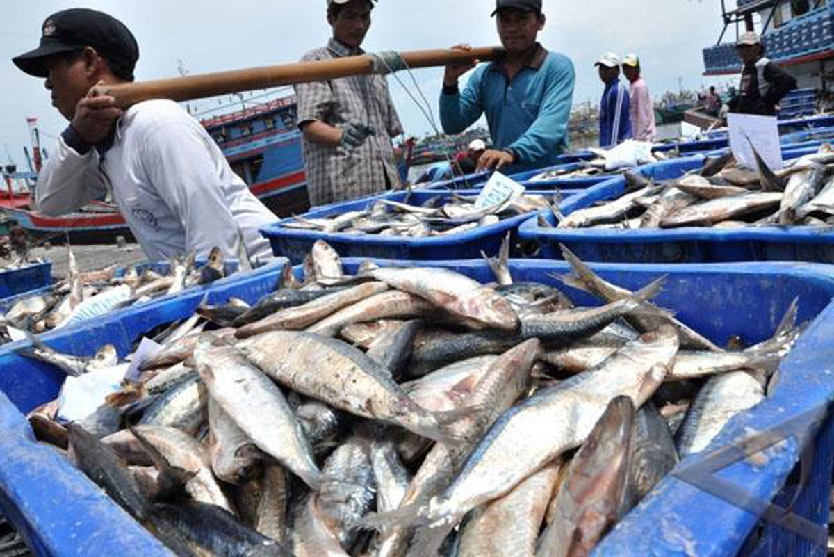 PERIKANAN LAUT: Terjadi peningkatan produksi perikanan tangkap khususnya perikanan laut. Daru 122.999 ton pada 2020 menjadi 152.572 ton pada 2023.