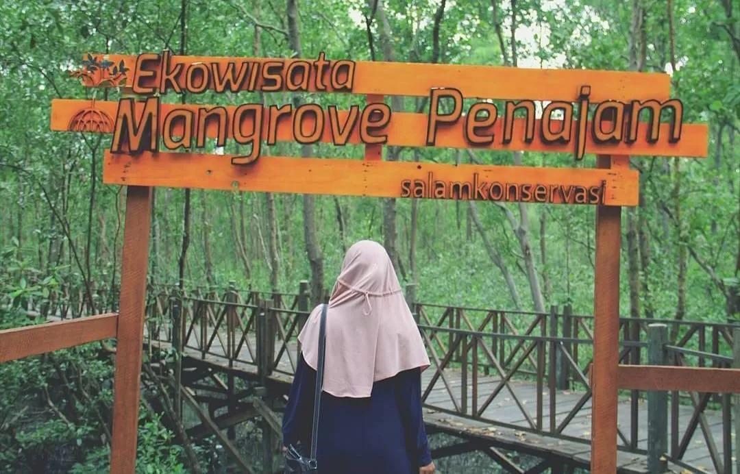 DESTINASI BARU: Ekowisata Mangrove di Kampung Baru, Kecamatan Penajam, PPU merupakan salah satu destinasi wisata baru di daerah ini.