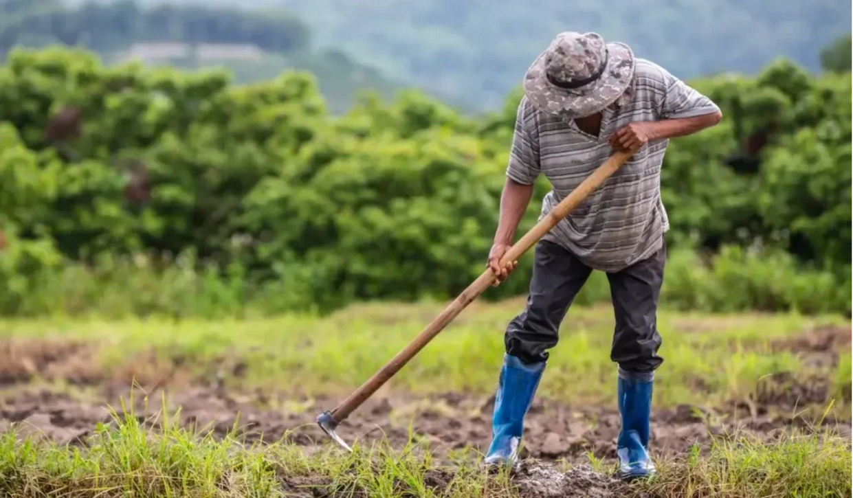 Foto ilustrasi. Penerbitan sertifikat melalui program reforma agraria di lahan bekas HGU perusahaan urung pasti.