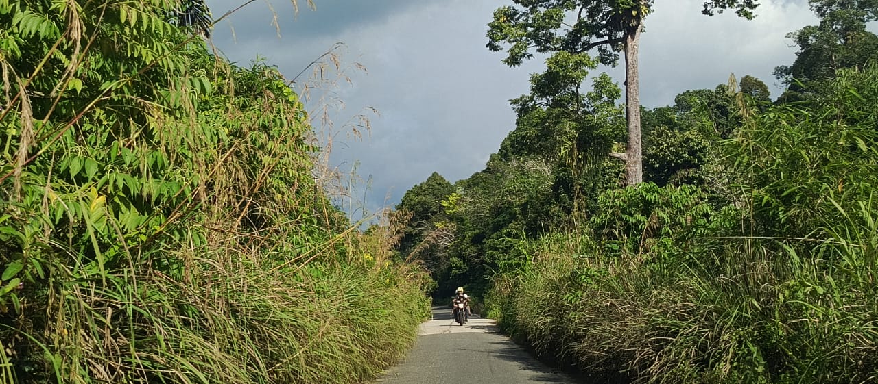 MENYEMPIT: Jalan Poros penghubung antar kampung Linggang Amer dan Geleo sebagian besar tertutup semak belukar.