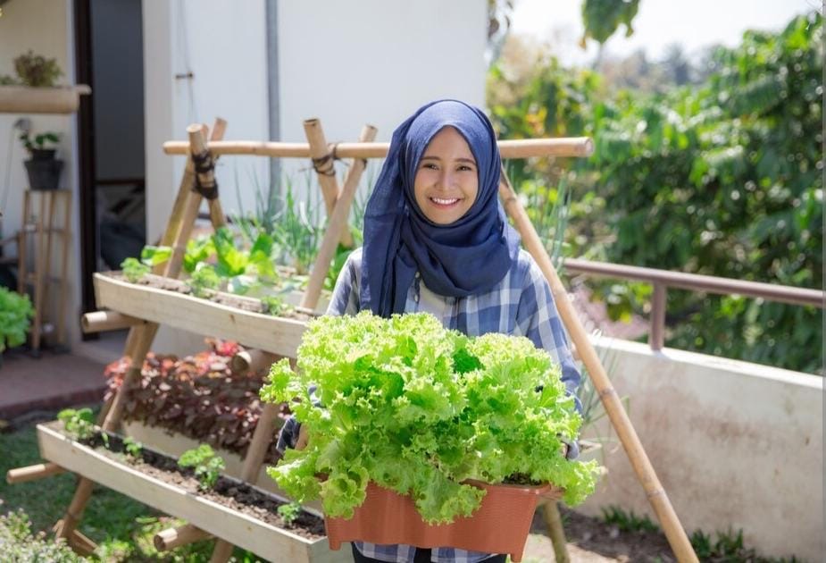 SELURUHNYA: Selain tanaman perkebunan rakyat yang catatkan penurunan terdalam yakni 2,89 persen, hortikultura mengekor di belakangnya yang turun 1,45 persen.