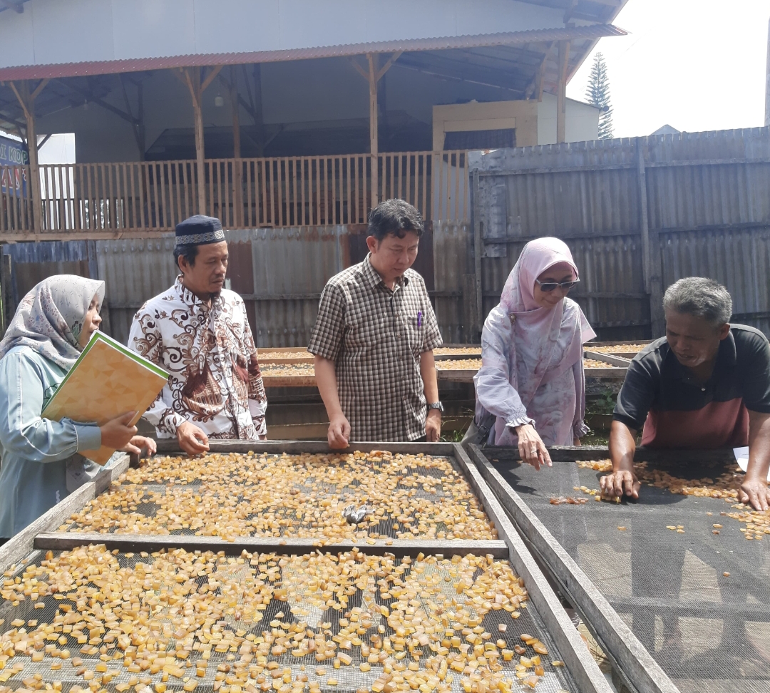 Prodi S3 Farmasi UNAND Gelar Sosialisasi Sertifikasi Halal untuk UMKM di Payakumbuh.