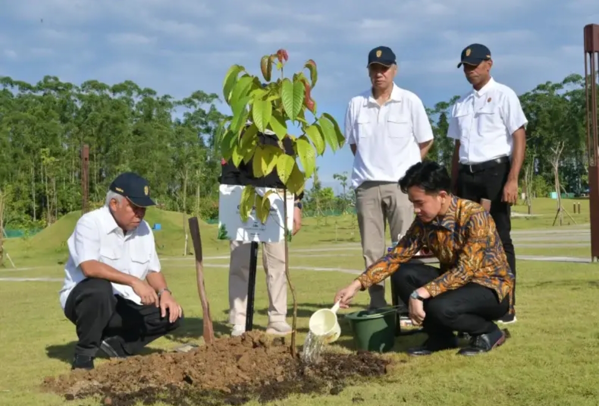 Wapres Gibran Rakabuming menanam pohon di Plaza Bhinneka Tunggal Ika, Kamis (29/05/2025). (Foto: Pemprov Kaltim)