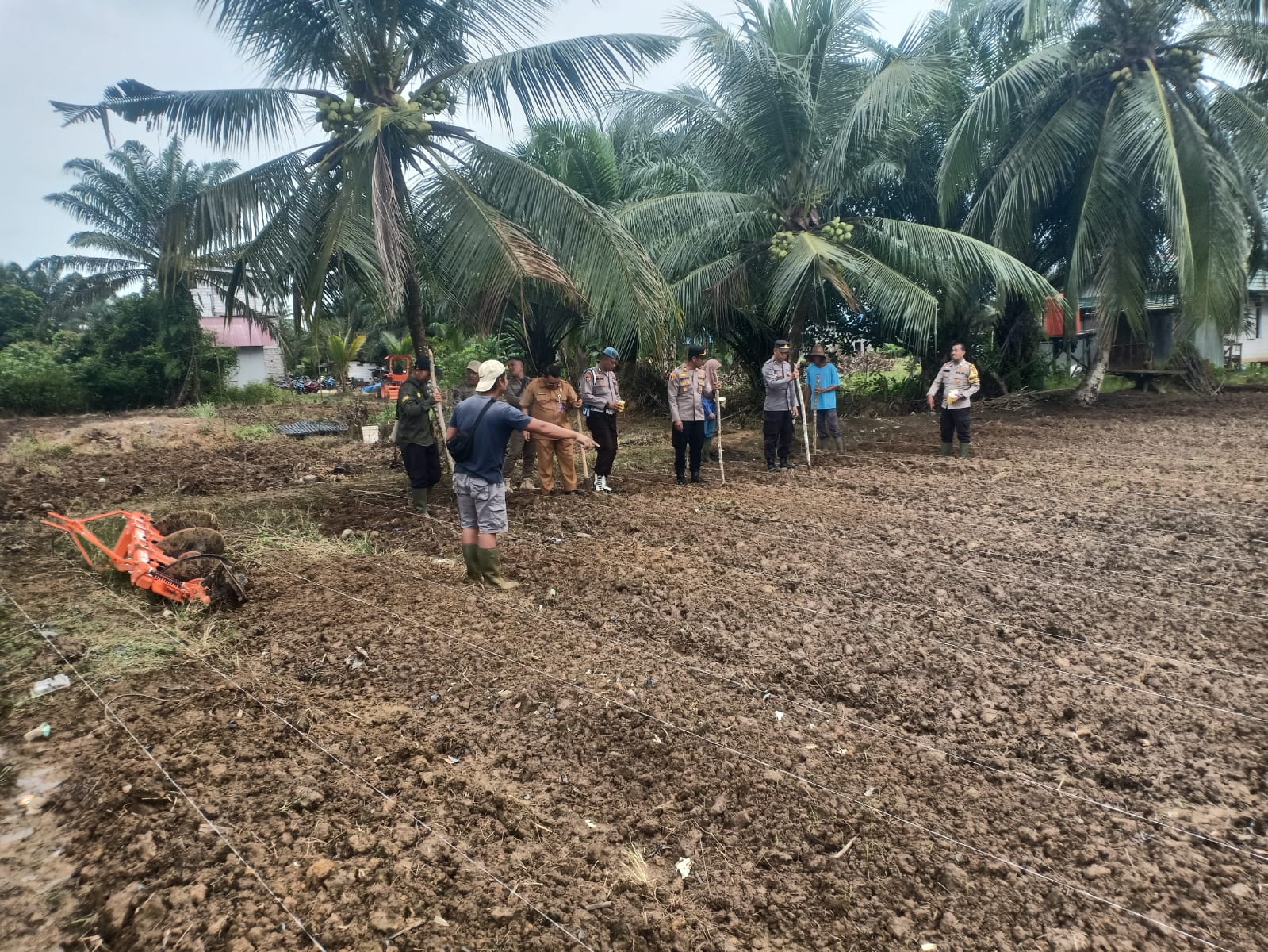 TANAM JAGUNG: Polsek Waru, PPU, menjalin kolaborasi dengan para pihak dengan memanfaatkan lahan kosong untuk ditanami jagung. Langkah ini sebagai dukungan terwujudnya swasembada pangan pemerintah.