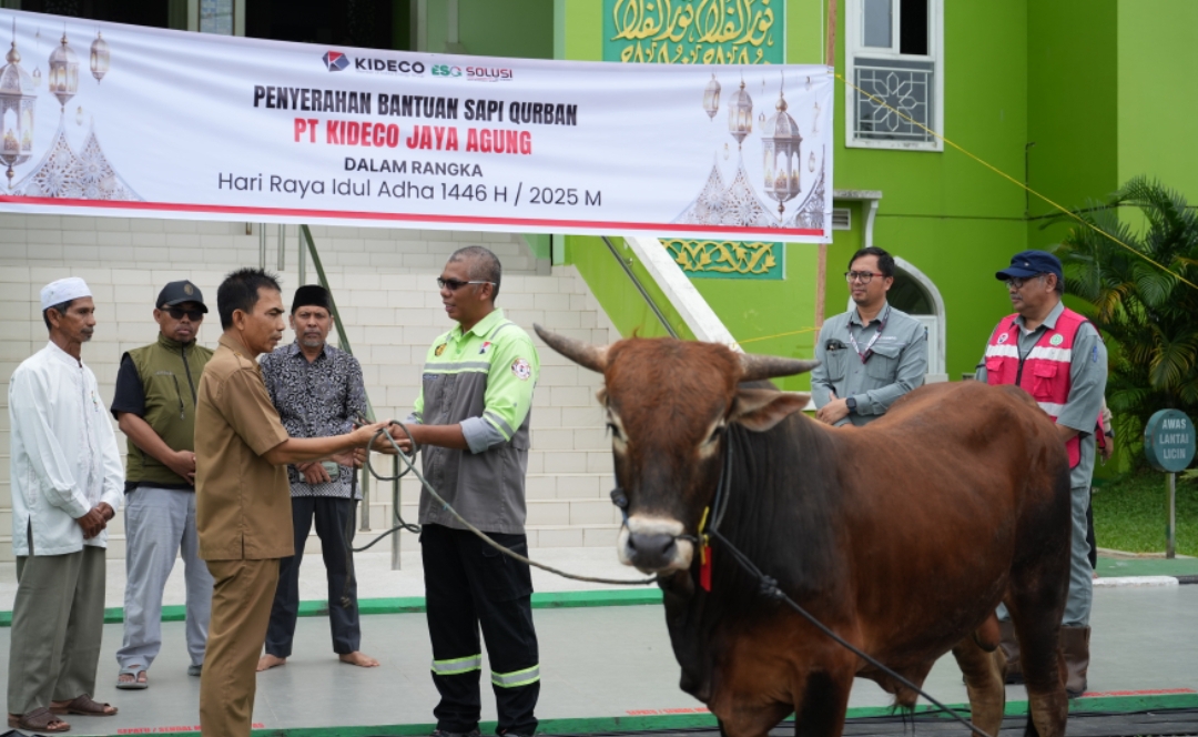 BERBAGI: Kideco membagikan 141 ekor sapi di berbagai kecamatan menyambut momen Iduladha 1446 Hijriah/2025, salah satunya di Masjid Agung Nurul Falah Tanah Grogot.