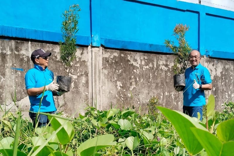 PENGHIJAUAN: Pelindo Regional 4 Balikpapan memperingati Hari Lingkungan Hidup Sedunia 2025 melalui gerakan menanam 50 bibit pohon pucuk merah di kawasan pelabuhan, Kamis (5/6).