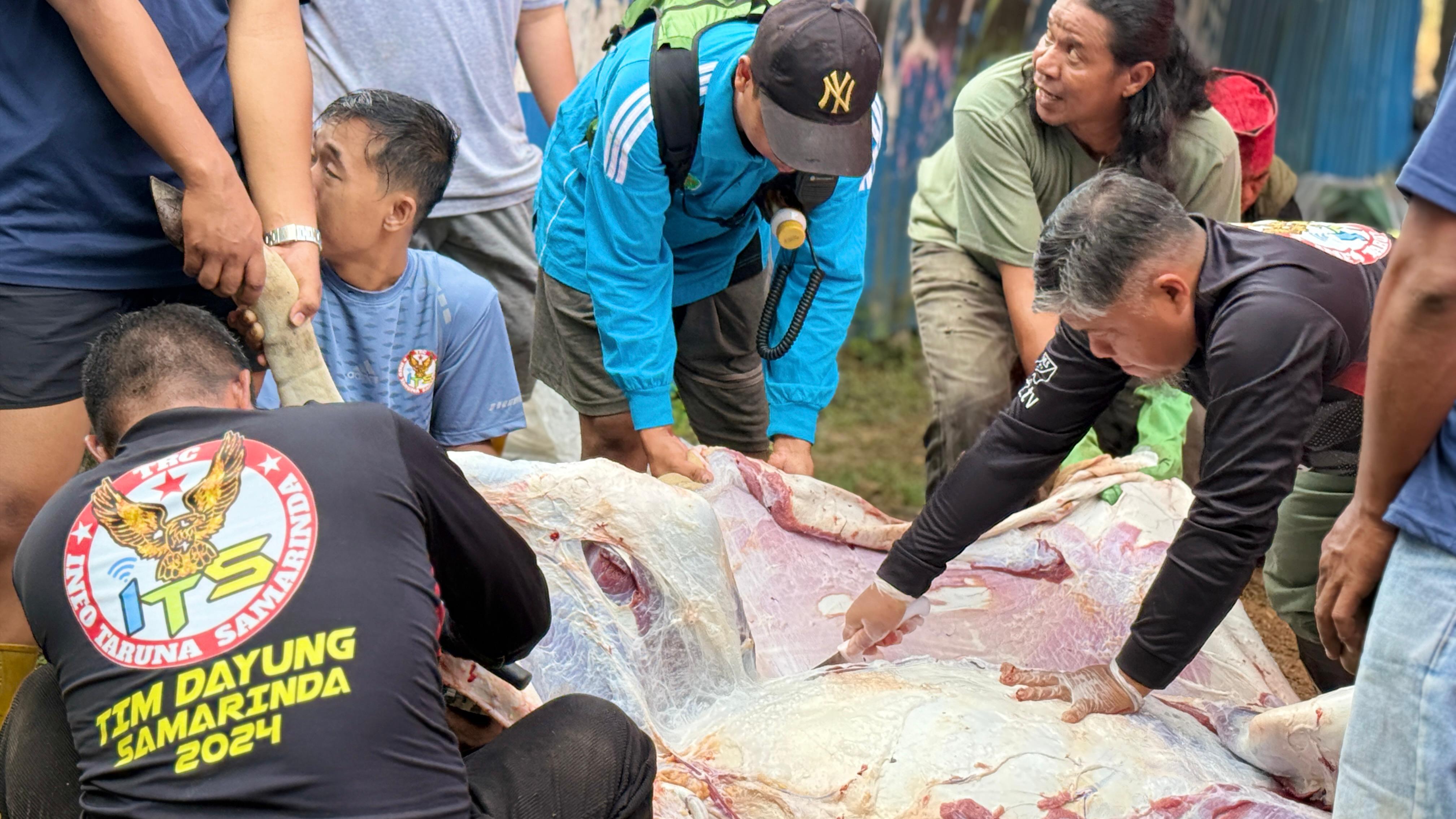 BERKURBAN: Info Taruna Samarinda (ITS) kembali melaksanakan pemotongan hewan kurban, Minggu (8/6). (EKO PRALISTIO/KP)