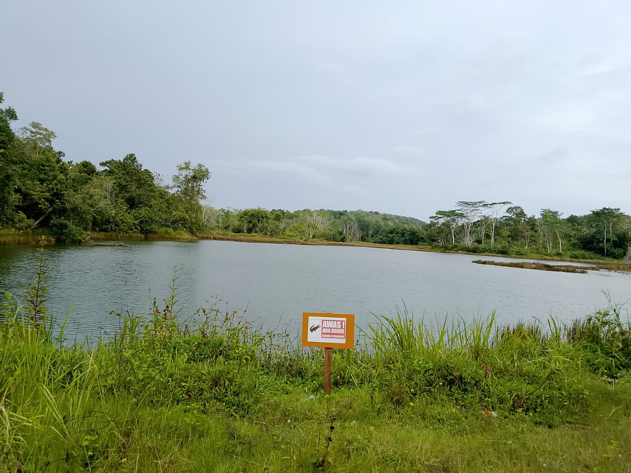 PERINGATAN: Kolam penampungan air bersih Kelurahan Gersik, Kecamatan Penajam, Penajam Paser Utara, yang di dalamnya terdapat buaya.