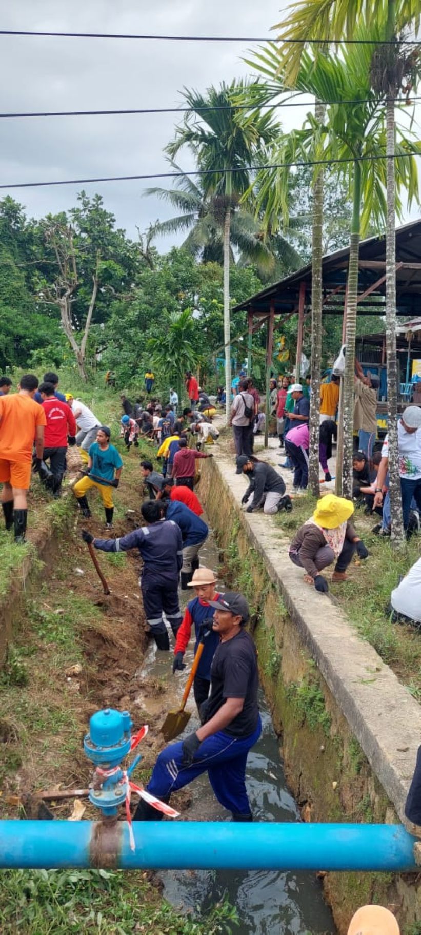 KEGIATAN: Ratusan pekerja dalam program padat karya membersihkan drainase di Kelurahan Manggar.  &nbsp;