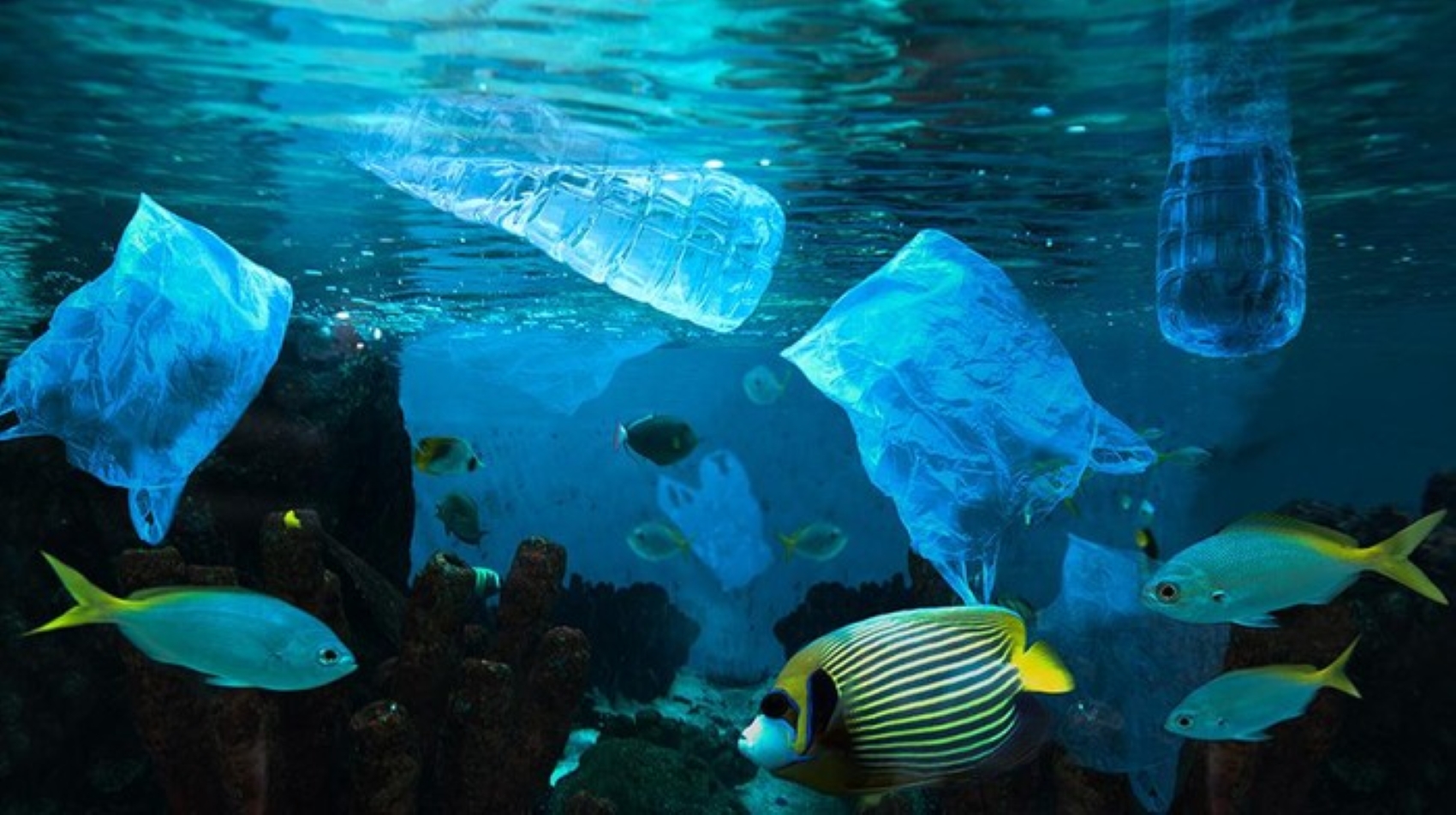 KAMPANYE GLOBAL: Peringatan Hari Bebas Kantong Plastik Internasional 2025, Kamis 2 Juli.