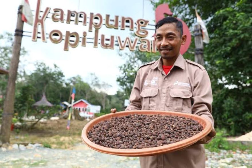 POTENSI DAERAH: Kampung Kopi Luwak di Desa Prangat Baru, Kecamatan Marangkayu.