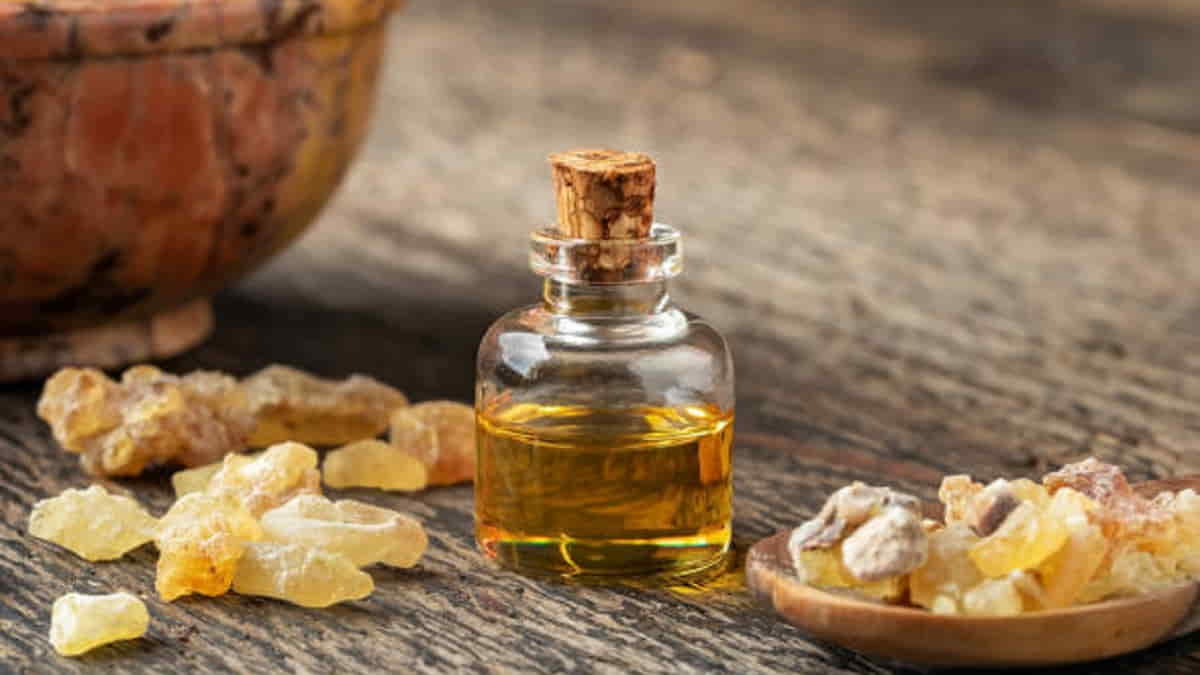 Kemenyan bukan lagi hanya untuk ritual, tetapi telah menjadi komoditas strategis di industri parfum, aromaterapi, dan farmasi global. ist