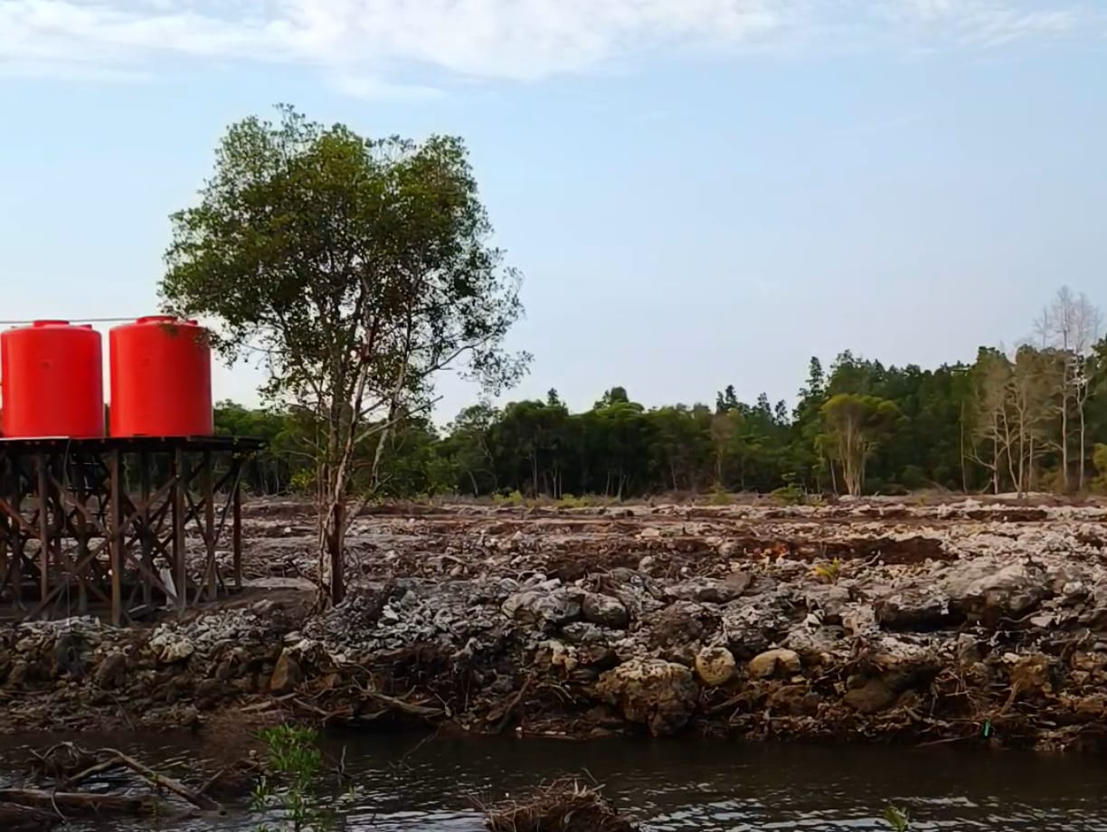 RUSAK: Bekas zona mangrove di Teluk Lingga, Kutai Timur, yang kini gundul dan berubah fungsi.