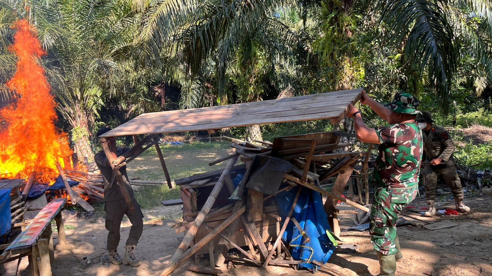 BAKAR DI TEMPAT: Tim gabungan saat melakukan penertian arena sabung ayam dan judi dadu di Kelurahan Sotek, Kecamatan Penajam, PPU. Tim gabungan memusnahkan arena judi dengan cara membakar di tempat.