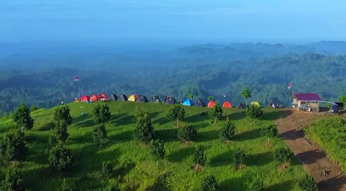 Pemandangan Indah dari Puncak Sakti.