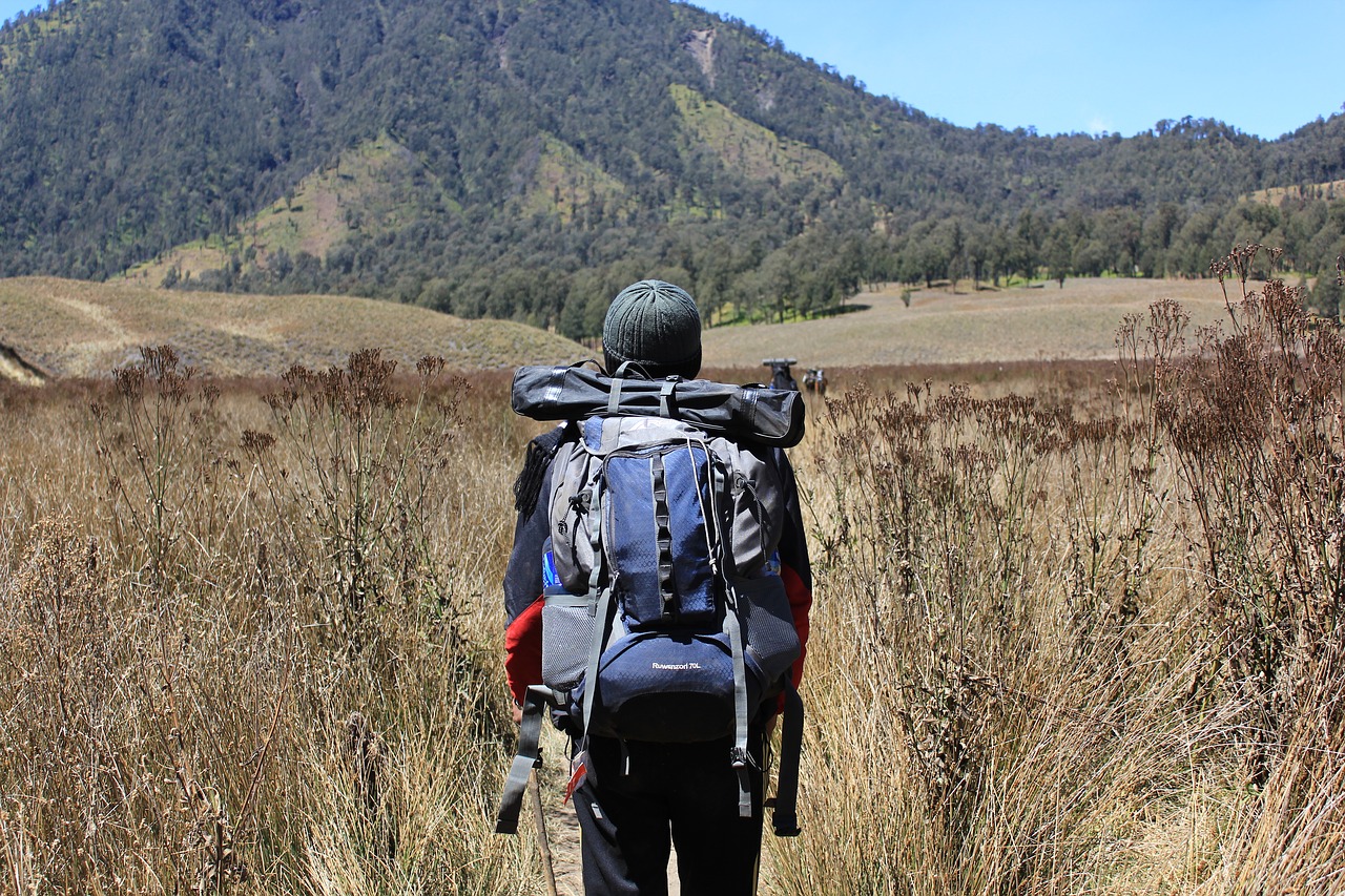 Ilustrasi mendaki gunung.