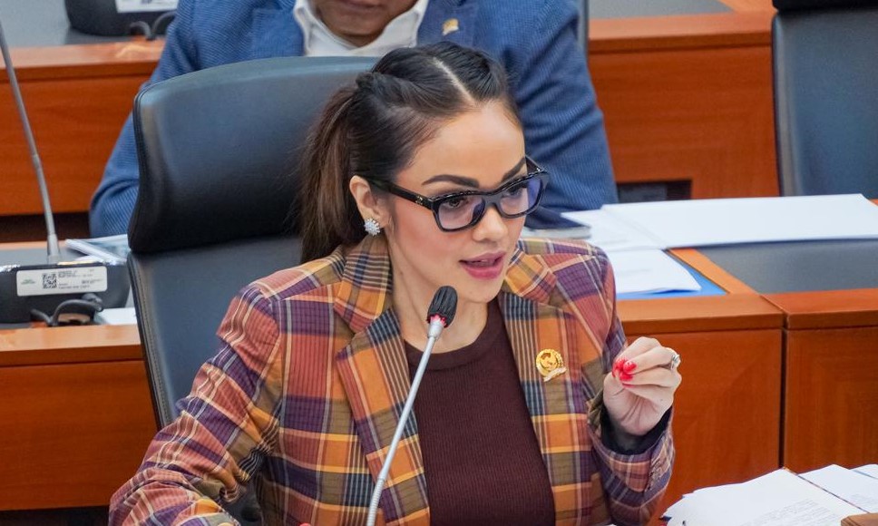 Anggota Komisi I DPR Andina Narang.