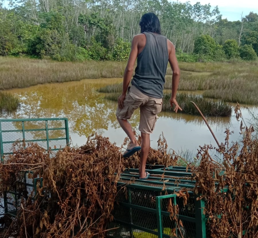 JEBAK BUAYA: Alat penjebak buaya milik BKSDA Kaltim ini sudah tidak berfungsi setelah donatur umpan mengundurkan diri.
