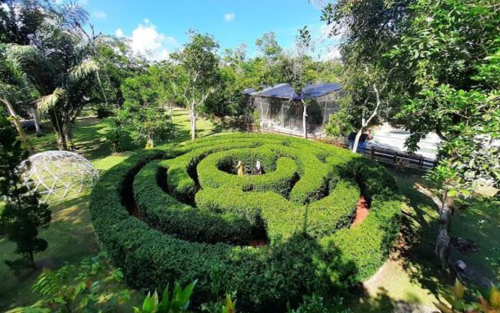 Taman labirin di Rumah Ulin Arya, Samarinda, menjadi salah satu spot favorit pengunjung untuk berfoto sekaligus bermain bersama keluarga.