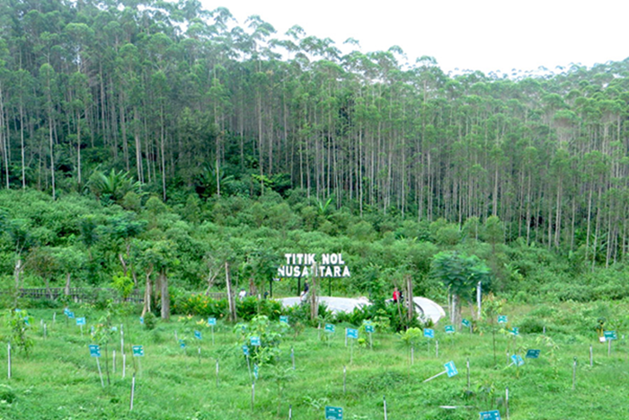 Hutan Titik Nol Nusantara.