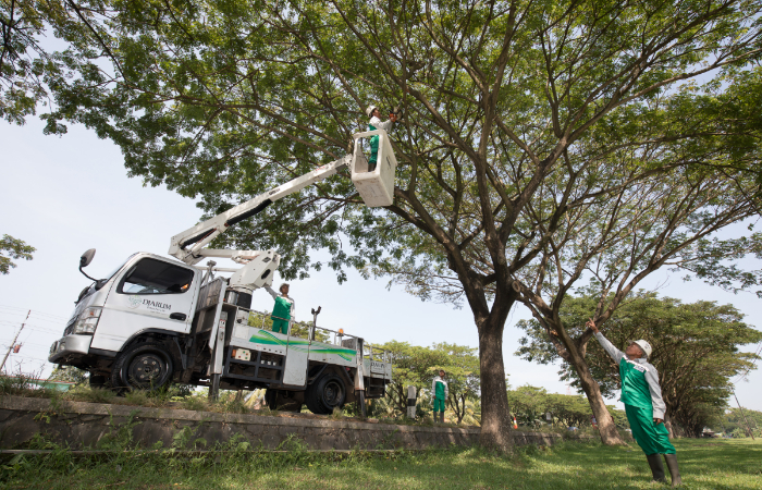 Bakti Lingkungan: Menghijaukan dan memelihara lingkungan